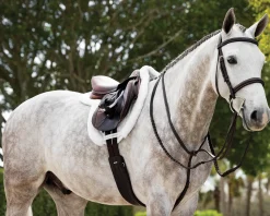 HORSE HEALTH TRADE Close Contact Saddle Pads|LeMieux® Merino+ ProSorb Hunter Saddle Pad