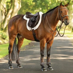 HORSE HEALTH TRADE Close Contact Saddle Pads|LeMieux® Merino+ ProSorb Hunter Saddle Pad