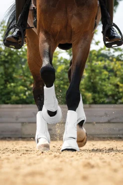 HORSE HEALTH TRADE Horse Boots|LeMieux® Motionflex Dressage Boots