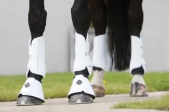 HORSE HEALTH TRADE Horse Boots|LeMieux® Pro Schooling Boots