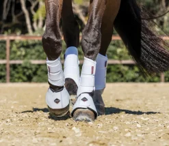 HORSE HEALTH TRADE Horse Boots|LeMieux® ProShell Brushing Boots