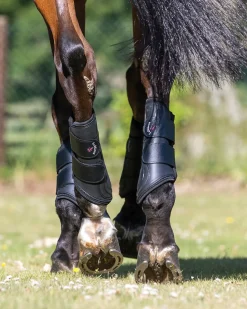 HORSE HEALTH TRADE Horse Boots|LeMieux® ProShell Brushing Boots