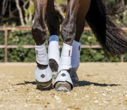 HORSE HEALTH TRADE Bell Boots|Bell Boots|LeMieux® ProShell Overreach Boots