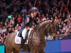 HORSE HEALTH TRADE Dressage Pads|Close Contact Saddle Pads|LeMieux® ProSport Cotton Dressage Square Pad