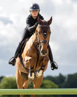 HORSE HEALTH TRADE Ear Bonnets|Ear Bonnets|LeMieux® Puissance Fly Hood