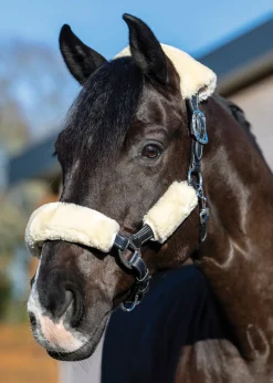 HORSE HEALTH TRADE Trailering|Halter Accessories|LeMieux® Simuwool 4-Piece Halter Set