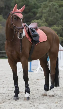 HORSE HEALTH TRADE Close Contact Saddle Pads|LeMieux® Suede Close Contact Square Pad