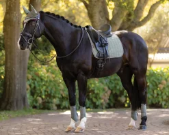 HORSE HEALTH TRADE Dressage Pads|Close Contact Saddle Pads|LeMieux® Suede Dressage Saddle Pad