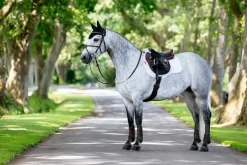 HORSE HEALTH TRADE Close Contact Saddle Pads|LeMieux® Suede GP Saddle Pad