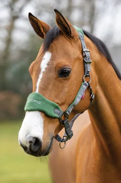 HORSE HEALTH TRADE Halters|LeMieux® Vogue Halter & Rope Lead Set
