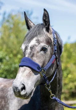 HORSE HEALTH TRADE Halters|LeMieux® Vogue Halter & Rope Lead Set