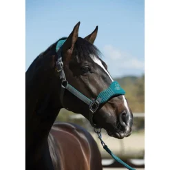 HORSE HEALTH TRADE Halters|LeMieux® Vogue Halter & Rope Lead Set