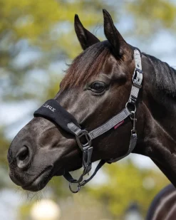 HORSE HEALTH TRADE Halters|LeMieux® Vogue Halter & Rope Lead Set