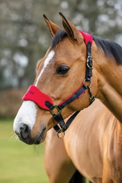 HORSE HEALTH TRADE Halters|LeMieux® Vogue Halter & Rope Lead Set