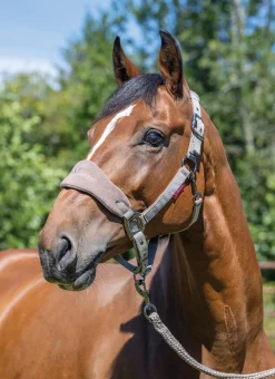 HORSE HEALTH TRADE Halters|LeMieux® Vogue Halter & Rope Lead Set