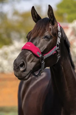 HORSE HEALTH TRADE Halters|LeMieux® Vogue Halter & Rope Lead Set