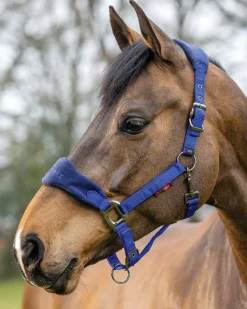 HORSE HEALTH TRADE Halters|LeMieux® Vogue Halter & Rope Lead Set