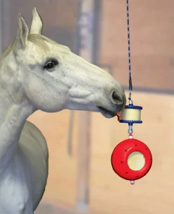 RJ MATTHEWS Horse Toys|Likit™ Boredom Breaker™