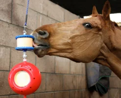 RJ MATTHEWS Horse Toys|Likit™ Boredom Breaker™