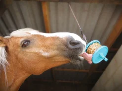 RJ MATTHEWS Horse Treats|Horse Treats|Likit™ Granola Refill