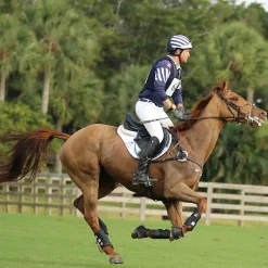 MAJYK EQUIPE Horse Boots|® Boyd Martin Eventing Front & Hind Boot 4-Pack