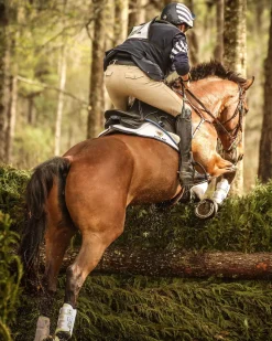 MAJYK EQUIPE Horse Boots|® Boyd Martin Eventing Front & Hind Boot 4-Pack