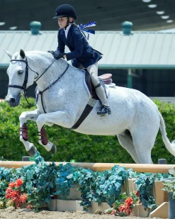 MAJYK EQUIPE Horse Boots|® Leather Jump Boot with Removable Impact Liners (Buckle Closure) - Pony/Cob