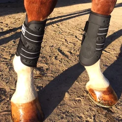 MAJYK EQUIPE Horse Boots|® Sport/Dressage Front Boots with Arti-Lage™ Impact Technology
