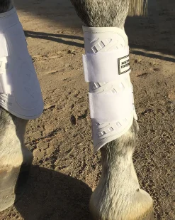 MAJYK EQUIPE Horse Boots|® Sport/Dressage Front Boots with Arti-Lage™ Impact Technology