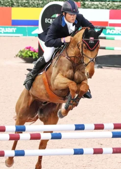 MAJYK EQUIPE Horse Boots|® Stadium Front Jump Boots with Arti-Lage™ Impact Technology