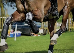 MAJYK EQUIPE Horse Boots|® XC Elite Hind Boot with Arti-Lage™ Technology