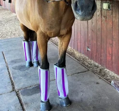 MAJYK EQUIPE Fly Control|Fly Boots|®Fly-Bye Boots Pack of 4