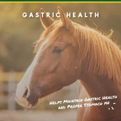 ANIMAL HEALTH INT Horse Supplements|Manna Pro® Corta-Flx® U-Gard™ Pellets, 4 Pounds