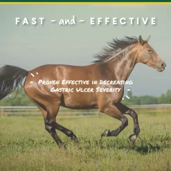 ANIMAL HEALTH INT Horse Supplements|Manna Pro® Corta-Flx® U-Gard™ Pellets, 4 Pounds