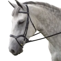 INT RIDING HELMET English Bridles|Marcel Toulouse Hybrid Dressage Bridle