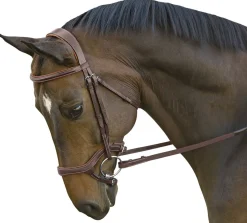 INT RIDING HELMET English Bridles|Marcel Toulouse Hybrid Jumper Bridle
