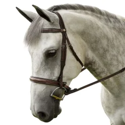 INT RIDING HELMET English Bridles|Marcel Toulouse Platinum Liza Hunter Derby Bridle