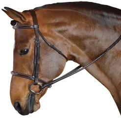 INT RIDING HELMET English Bridles|Marcel Toulouse Standard Hunter Bridle