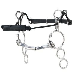 TOKLAT ORIGINALS English Horse Bits|Myler® 3-Ring Combination Bit Mullen Barrel Low Port MB 36