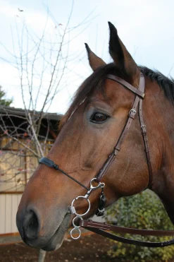 TOKLAT ORIGINALS English Horse Bits|Myler® 3-Ring Combo Low Port Comfort Snaffle MB 04