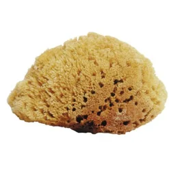JACKS MFG Bathing Tools|Natural Sea Sponges
