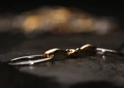 METLAR/NEUE SCHULE English Horse Bits|Neue Schule Team Up Loose Ring