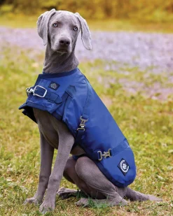 CWEAR BRANCH Dog Blankets|NorthWind™ Dog Turnout Blanket