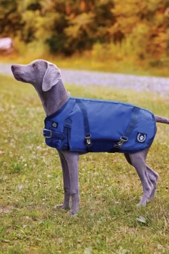 CWEAR BRANCH Dog Blankets|NorthWind™ Dog Turnout Blanket