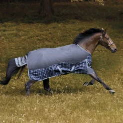 CWEAR BRANCH Turnout Blankets|NorthWind™ Heavyweight Turnout Blanket