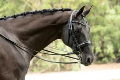 OTTO SCHUMACHER English Bridles|Patent Venedig Double Bridle