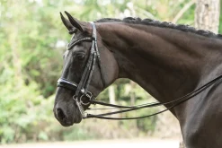 OTTO SCHUMACHER English Bridles|Patent Venedig Double Bridle