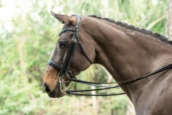OTTO SCHUMACHER English Bridles|Tiffany Double Bridle