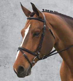 ERS English Bridles|Ovation® Comfort Crown Dressage Bridle