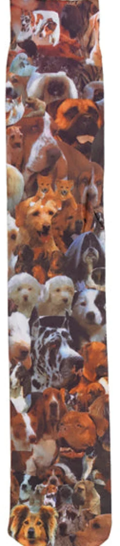 ERS Equestrian Socks|Riding Socks & Undergarments|Ovation® Kids' Zocks™